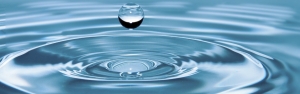 Close up of a water drop and ripples on water