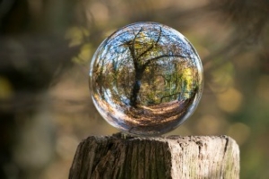 Glass orb reflecting a tree