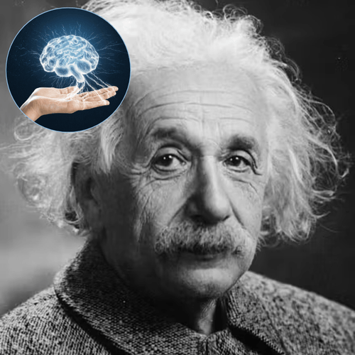 Einstein’s Stolen Brain